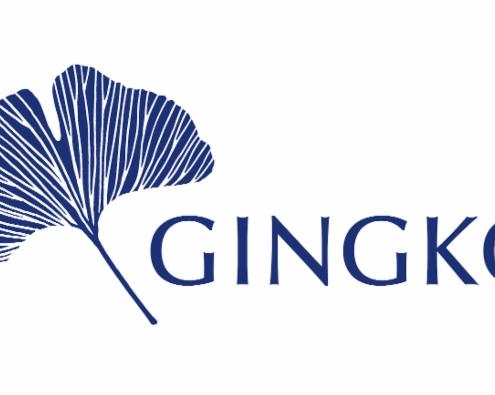 Gingko
